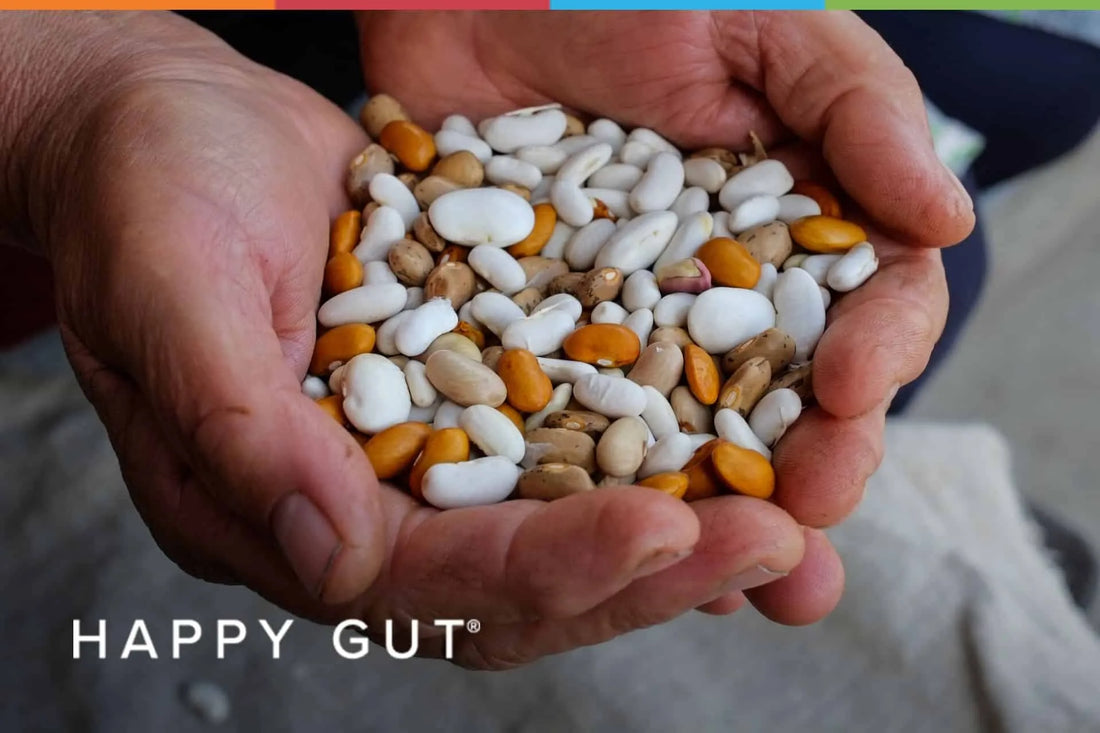 The Lectin Paradox (Part 1/3)