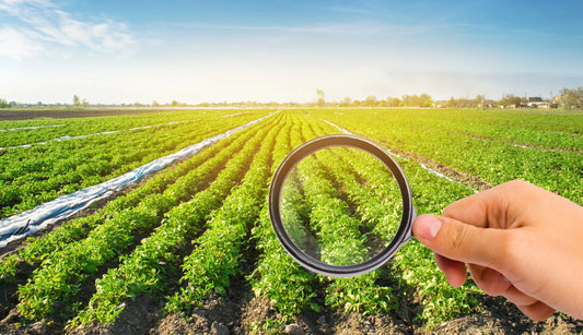 Avoid Obnoxious Toxins To Build Your Immuno-Resilience