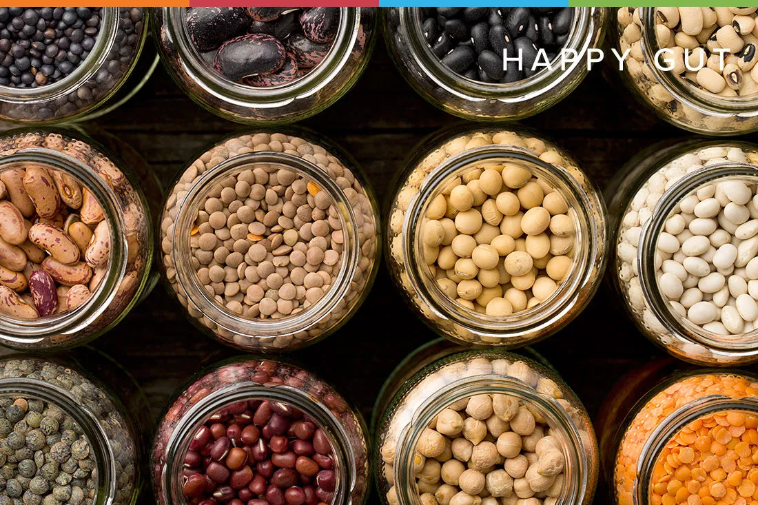 The Lectin paradox (Part 2 of 3)