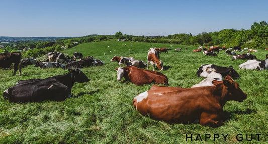 Grass Fed