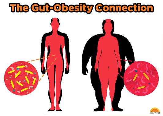 The Gut-Obesity Connection
