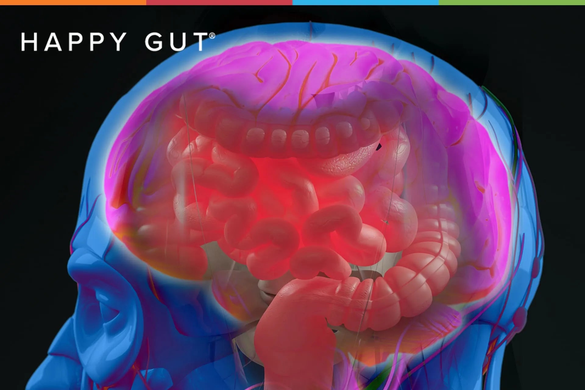 What Your Doctor Never Told You About Alzheimer’s Prevention & Gut Hea