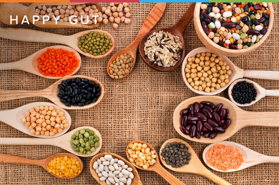 Collection of beans & legumes