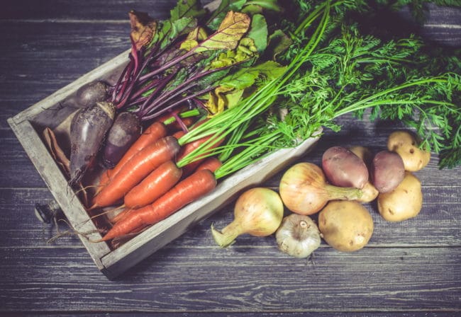 Fall Foods - Seasonal Eating For Your Microbiome