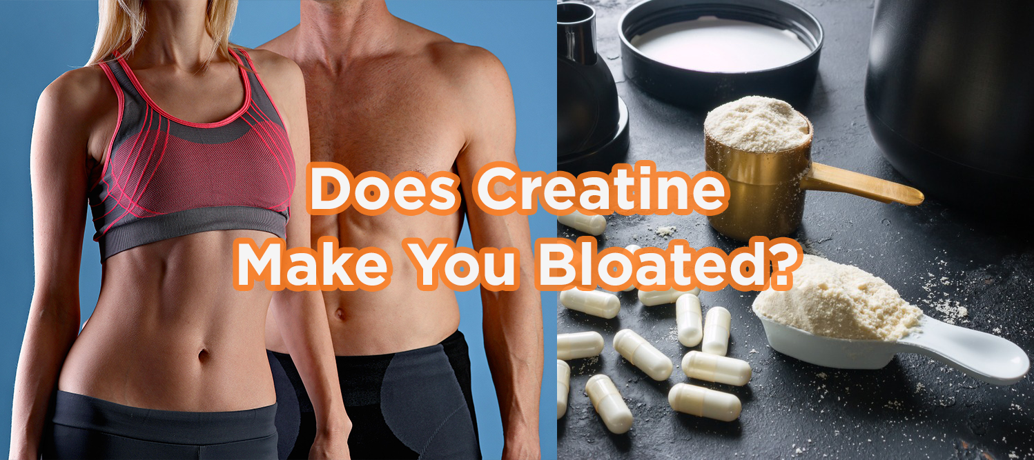Does Creatine Make You Bloated? – Happy Gut Life