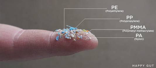 Microplastics in Your Gut