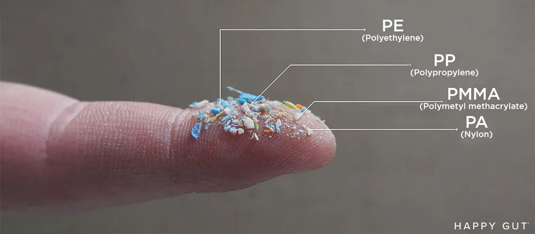 Microplastics in Your Gut