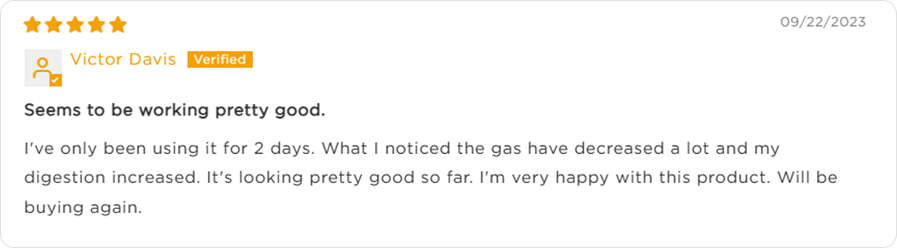 Customer review screenshot 2