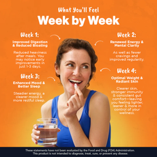 The 28-Day Gut Reset Program